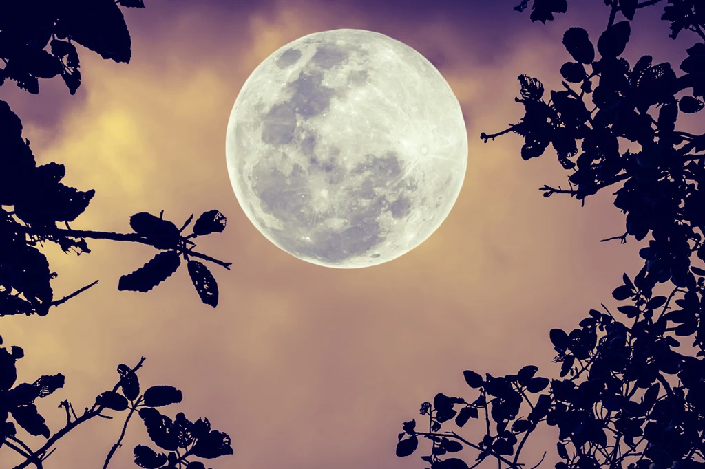 Kiedy będzie pełnia Księżyca w lipcu 2023? Koźli Księżyc rozświetli niebo