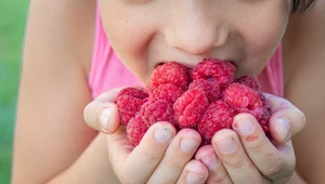 Weź plamę sposobem. Szybkie metody usuwania zabrudzeń ze słodkich malin