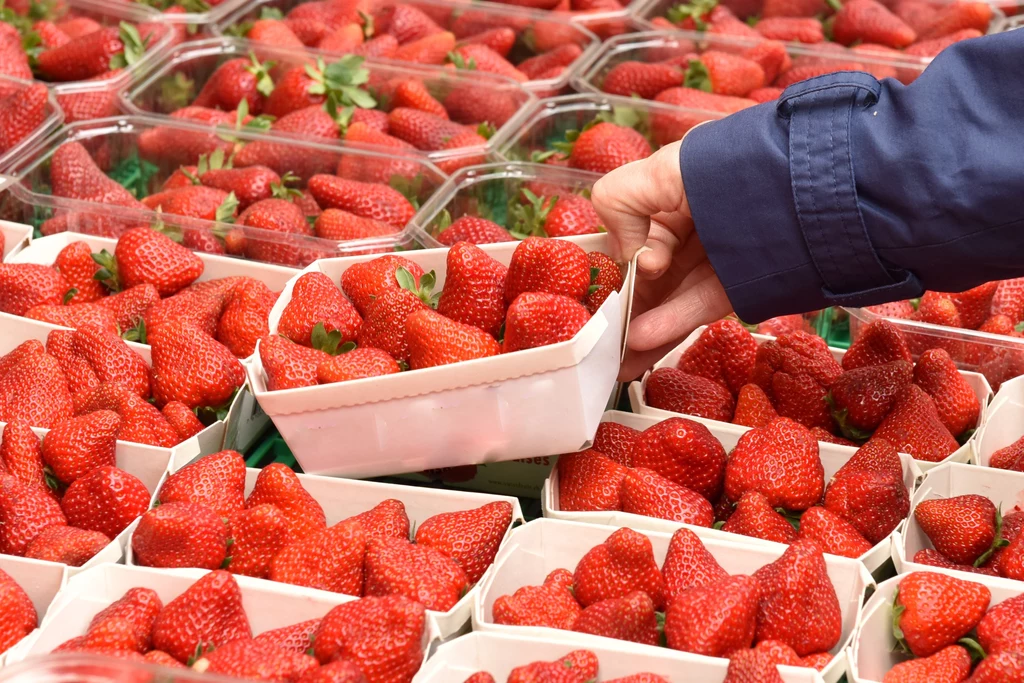 Pierwsze polskie truskawki już pojawiły się w Biedronkach. Ile kosztują?