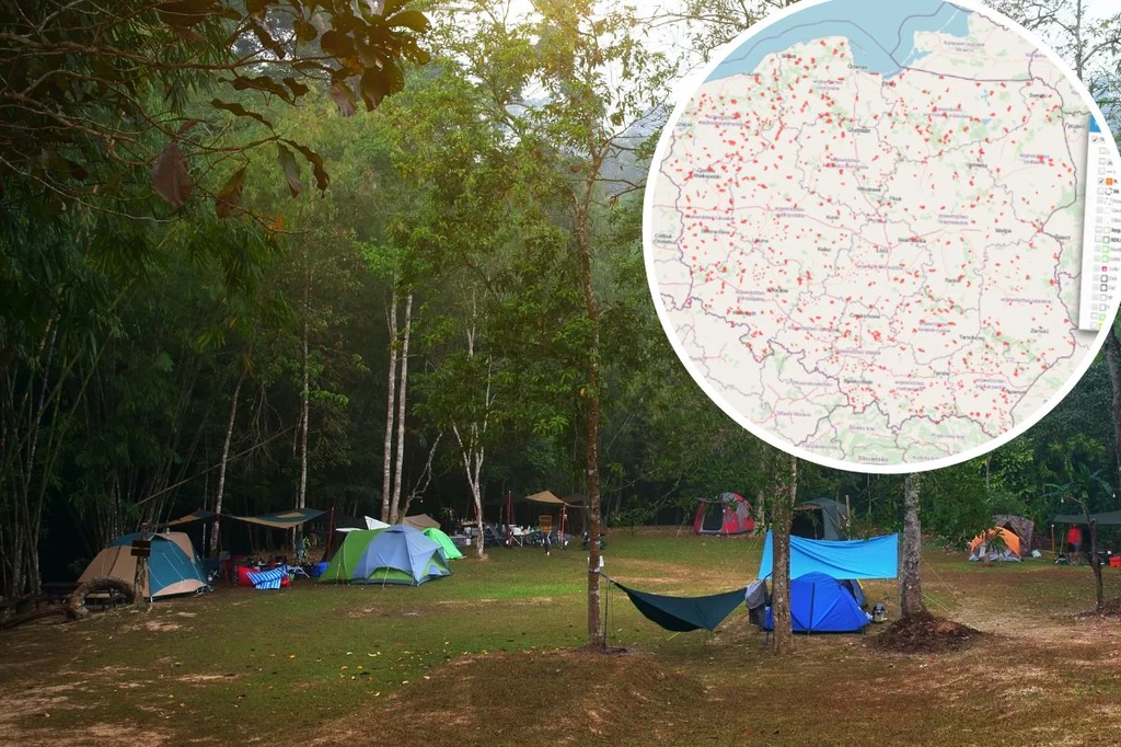 „Zanocuj w lesie”: mapa. W tych miejscach można nocować