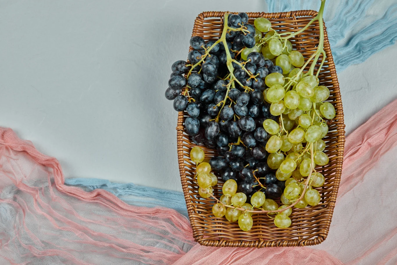 Pies nie może jeść winogron. Zatrucie wymaga pilnej pomocy weterynarza.