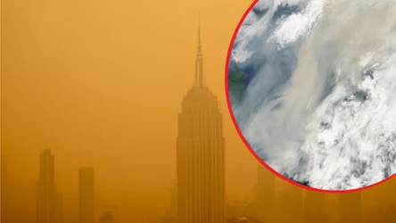 Dym z lasów płonących w Kanadzie na początku lipca dotarł do północnych stanów USA. Teraz chmura cząsteczek pokonała Atlantyk i trafiła do Europy