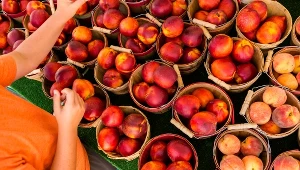 Nektarynki polecane są m.in. osobom z anemią i problemami z ciśnieniem. Dlaczego? Co jeszcze mają do zaoferowania?