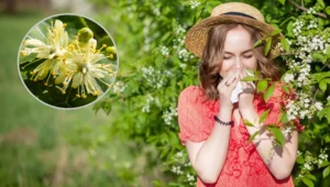 Co pyli w lipcu, uczula i wywołuje alergię?