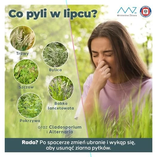 Co pyli w lipcu? Źródło: GOV, Ministerstwo Zdrowia