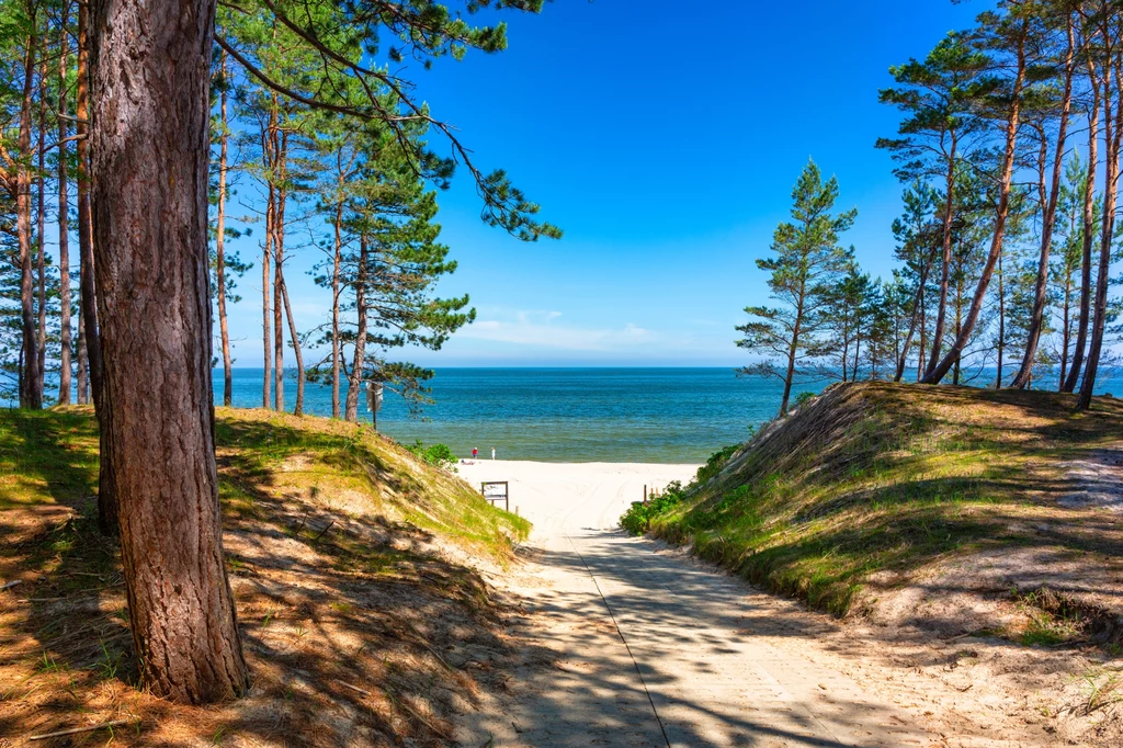 Morze Bałtyckie jest jednym z ulubionych miejsc wakacyjnych Polaków. Czy wiesz o nim wszystko?