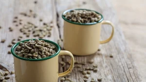 Zielona kawa to nic innego jak niepalone ziarna kawy