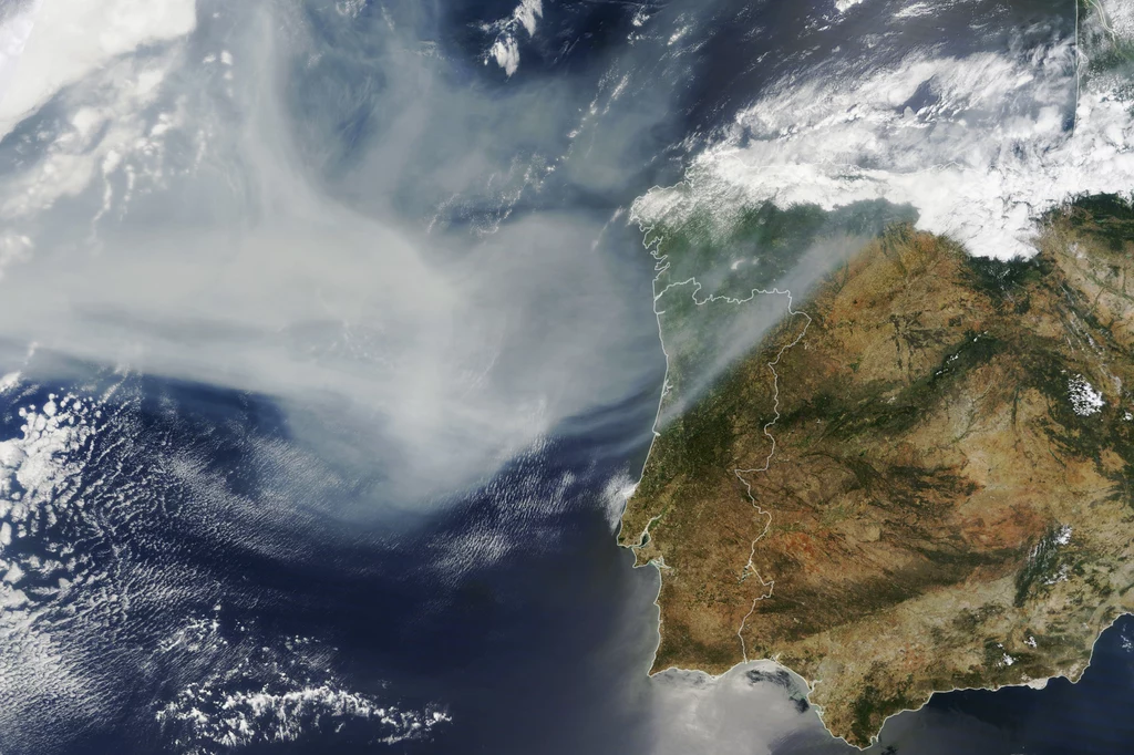 Dym z pożarów lasów w Kanadzie dotarł nad Europę, w tym Polskę. Widać go m.in. na zdjęciach satelitarnych NASA