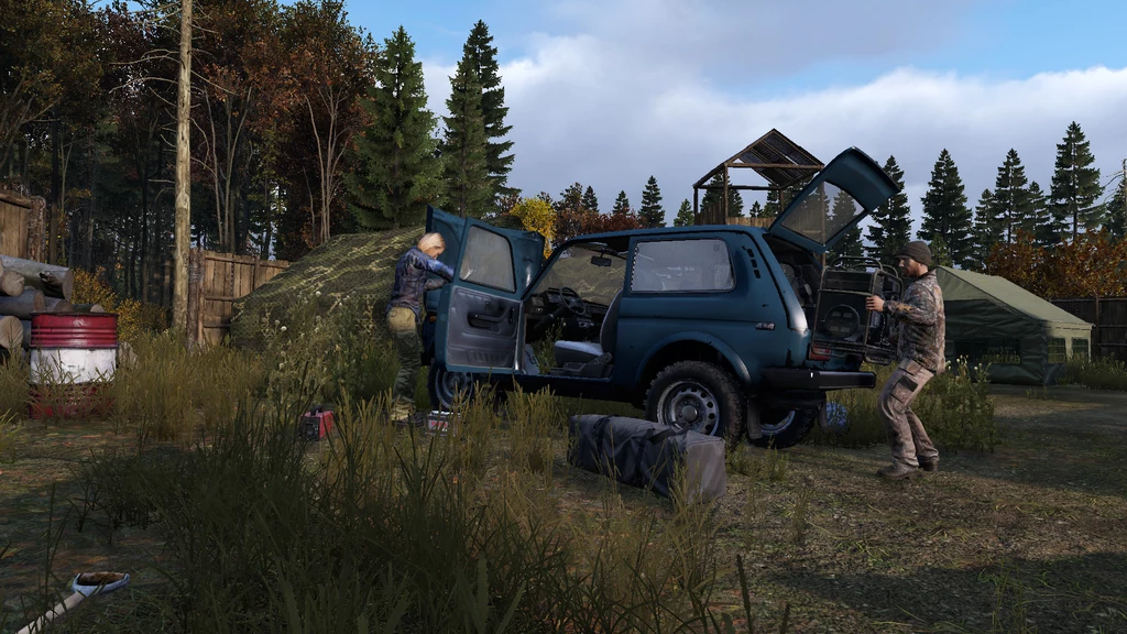 DayZ DayZ
