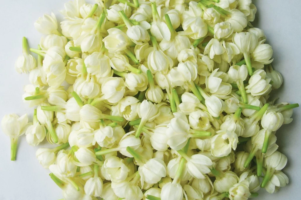 Pięknie pachną i zdobią ogród, ale te biały kwiaty warto też zaparzyć