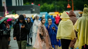 Mimozami jesień się zaczyna, czyli popularne piosenki o jesieni 