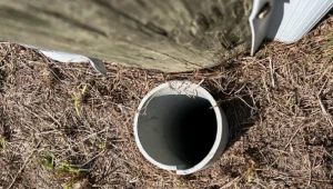 USA: tajemnicze piski z głębi ziemi przyciągnęły uwagę mieszkańca