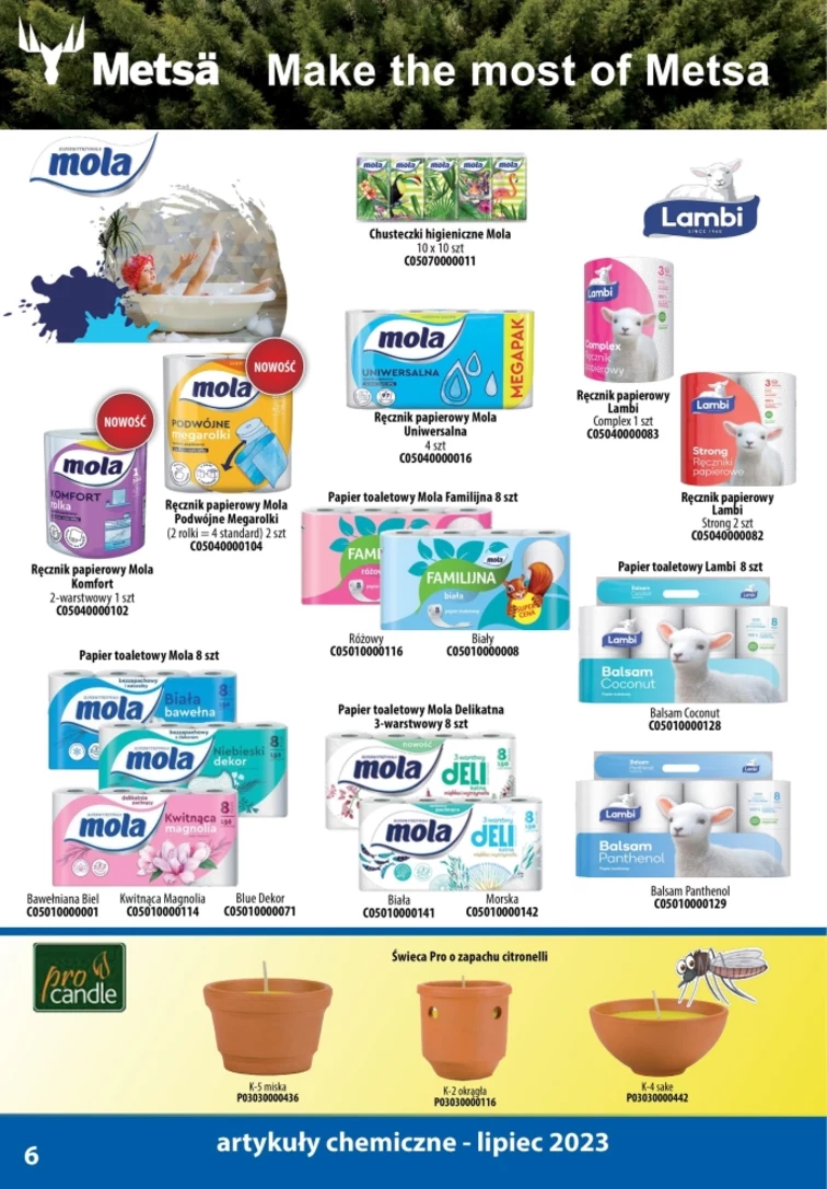 leaflet page preview image
