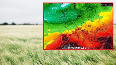 IMGW wydał ostrzeżenia pierwszego stopnia dotyczące silnego wiatru dla dwóch województw