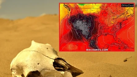 W USA obowiązują alerty dotyczące wysokich temperatur. Jednak również burze są niebezpieczne i powodują śmierć zwierząt