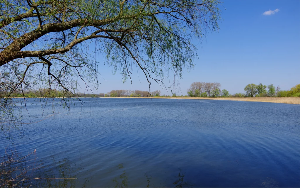Jezioro Gopło to jedne z jezior wartych zobaczenia.