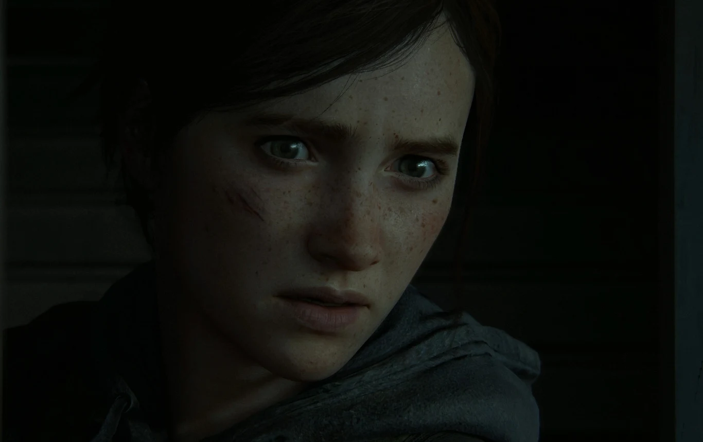 The Last of Us 2 The Last of Us 2