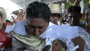 Ślub z gadem ma przynieść gminie pomyślność