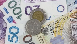 Kursy walut. Ile kosztują euro, dolar i frank?