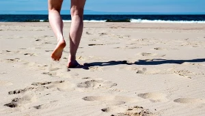 Pełno ich w Bałtyku i Morzu Śródziemnym. Bliskie spotkanie z meduzą zwykle kończy się boleśnie