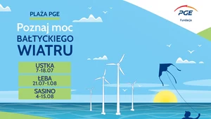 Morskie farmy wiatrowe to przyszłość polskiej energetyki