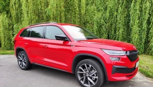 Skoda Kodiaq Sportline. Czy to wciąż ciekawy model?