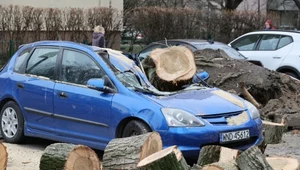 Złamane drzewo spadło na samochód. Czy jest szansa na odszkodowanie?