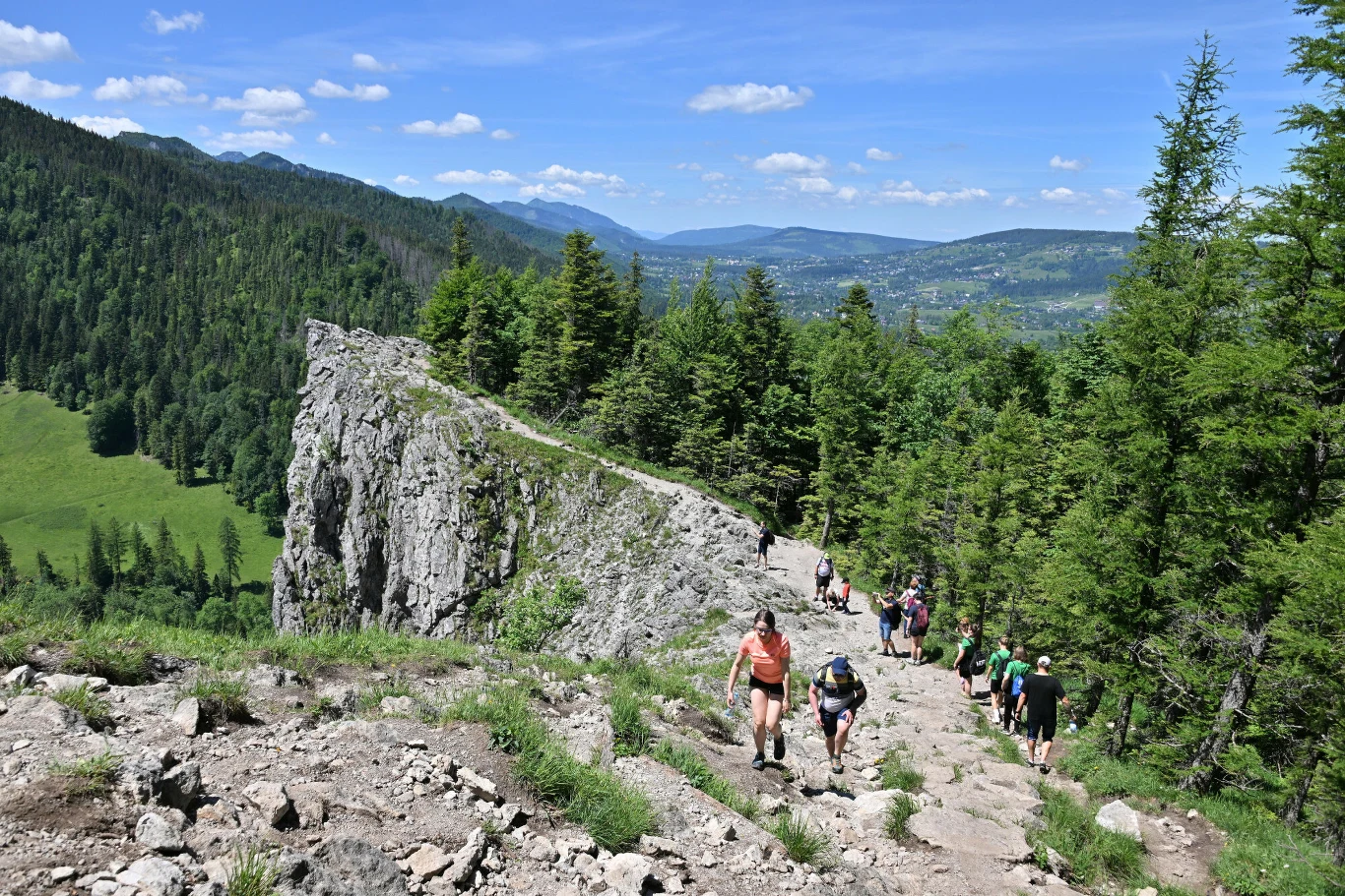 Nosal jest celem wielu pieszych wycieczek z Zakopanego. Trasa z miasta zaczyna się w pobliżu przystanku "Murowanica". Mniej wymagające jest jednak podejście od strony Kuźnic.