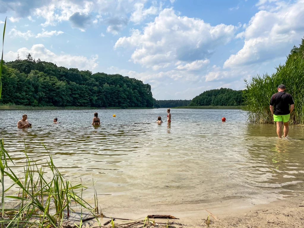 Jezioro Jarosławieckie słynie z niebywale czystej wody i pięknych widoków