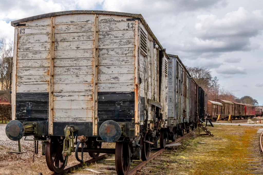 Wagony zakopanego pociągu mają być wypełnione kosztownościami
