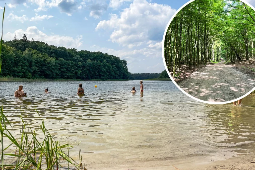 Od pięknych leśnych szlaków po czyste wody jezior - Wielkopolski Park Narodowy latem ma wiele do zaoferowania 