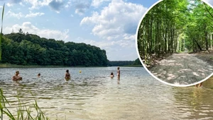 Od pięknych leśnych szlaków po czyste wody jezior - Wielkopolski Park Narodowy latem ma wiele do zaoferowania 