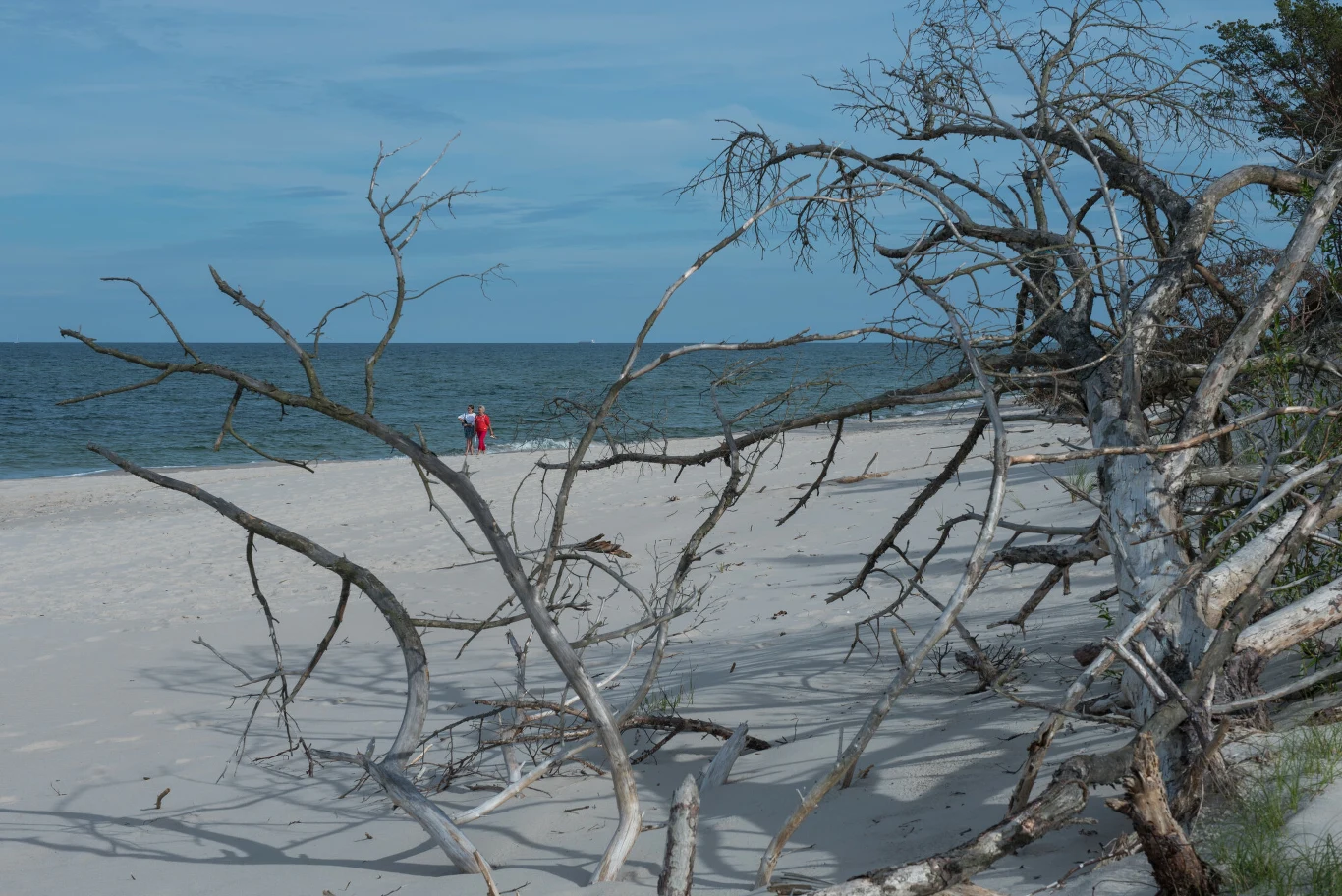 Gdzie można znaleźć dzikie plaże w Polsce? Gdzie można znaleźć dzikie plaże w Polsce?