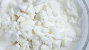 Serek wiejski ma niewiele kalorii i jest świetnym źródłem białka. To jednak nie jedyne jego zalety