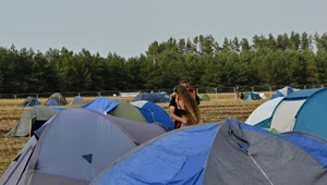 Pol'and'Rock Festival 2023: Kojący zapach żywicy i śpiew ptaków. Nadleśnictwo zaprasza fanów