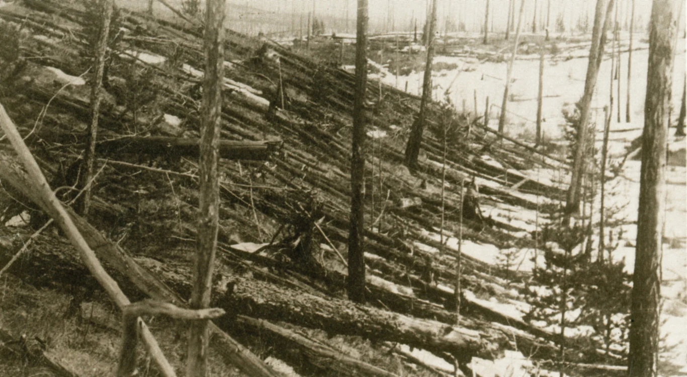 Powalone drzewa na skutek Katastrofy Tunguskiej w 1908 roku Powalone drzewa na skutek Katastrofy Tunguskiej w 1908 roku