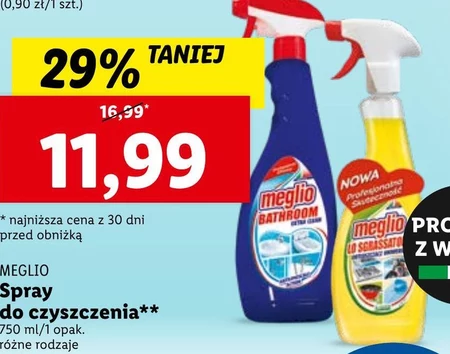 Spray do czyszczenia Meglio