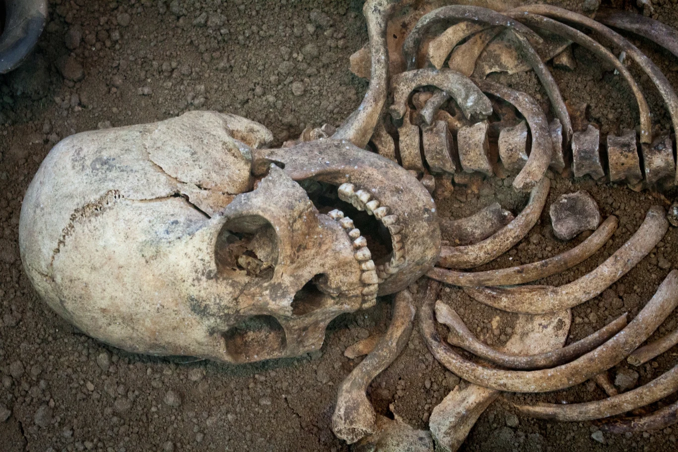 Znaleziono szkielet oraz wysokiej jakości artefakty z epoki miedzi Znaleziono szkielet oraz wysokiej jakości artefakty z epoki miedzi