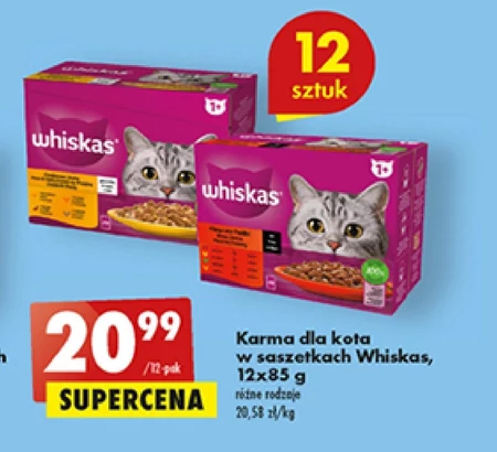Karma dla kota Whiskas