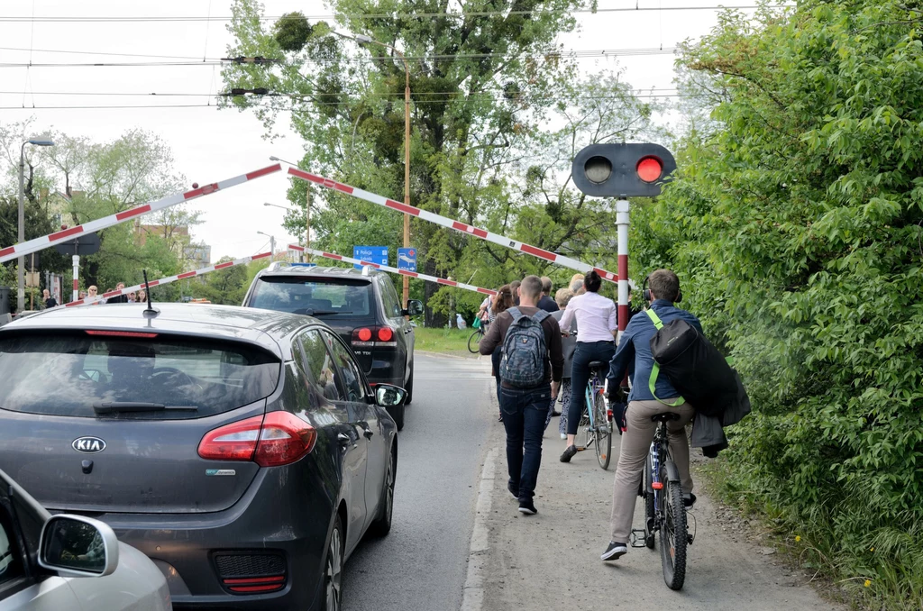 Mandat za zły kąt obowiązuje wszystkich: kierowców, rowerzystów i pieszych. Wystarczy ruszyć sekundę za wcześnie