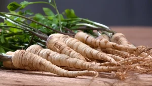 Korzeń pietruszki jest dobry m.in. na dolegliwości związane z układem moczowym - działa moczopędnie