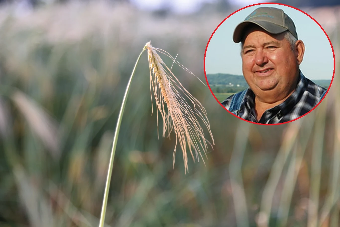 Dał "okejkę", a teraz zapłaci. Dał "okejkę", a teraz zapłaci.