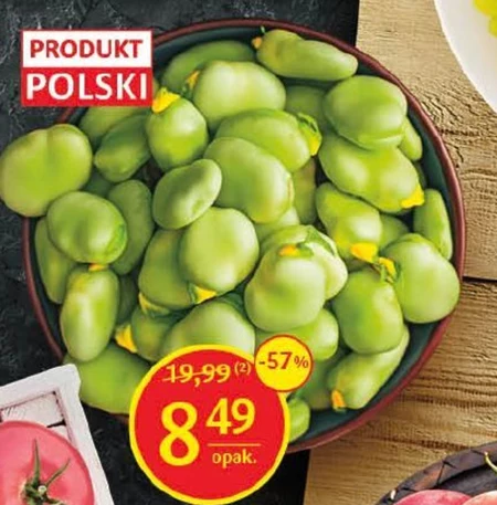 Bób