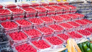 Ceny malin spadły niemal o połowę w tydzień