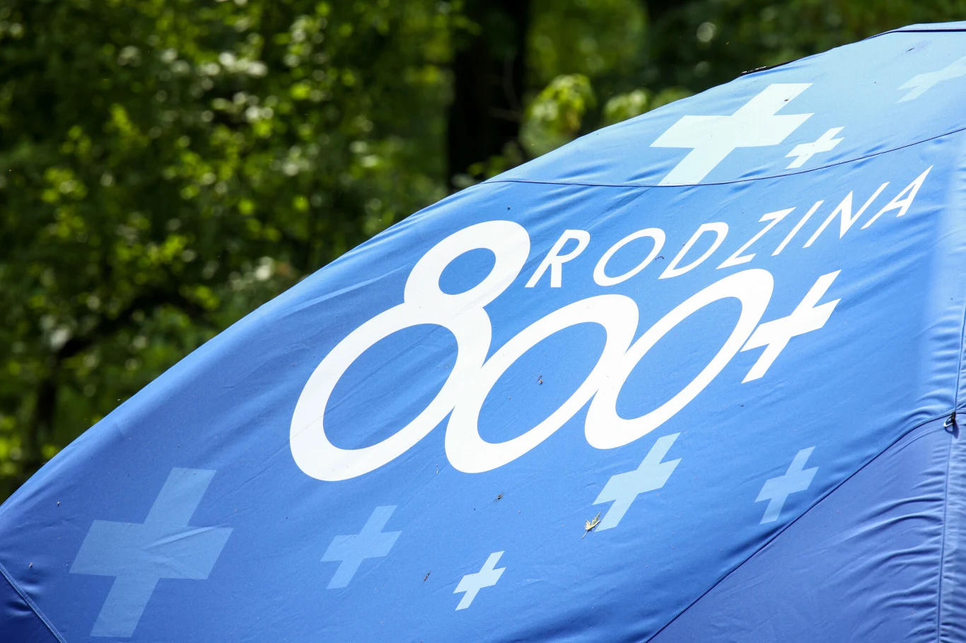 800 plus daty wypłat. Jest harmonogram na lipiec 2024. 800 plus daty wypłat. Jest harmonogram na lipiec 2024.