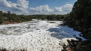 Zatruta rzeka w Brazylii. Toksyczna piana to wierzchołek problemu