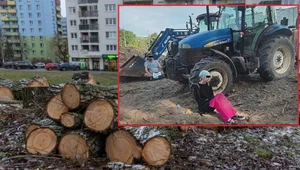 Trwa blokada wycinki drzew w Krakowie. Aktywiści przykuli się do maszyn