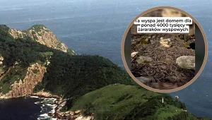 Najniebezpieczniejsza wyspa świata. Wstępu na nią broni straż