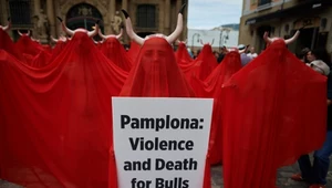 Przemoc jako element kultury. Walki byków w Pampelunie budzą wątpliwości