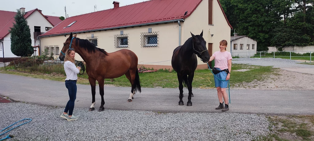 Konie z Ośrodka Jazdy Konnej Wydziału Hodowli i Biologii Zwierząt UR Rząska ze swoimi opiekunkami 